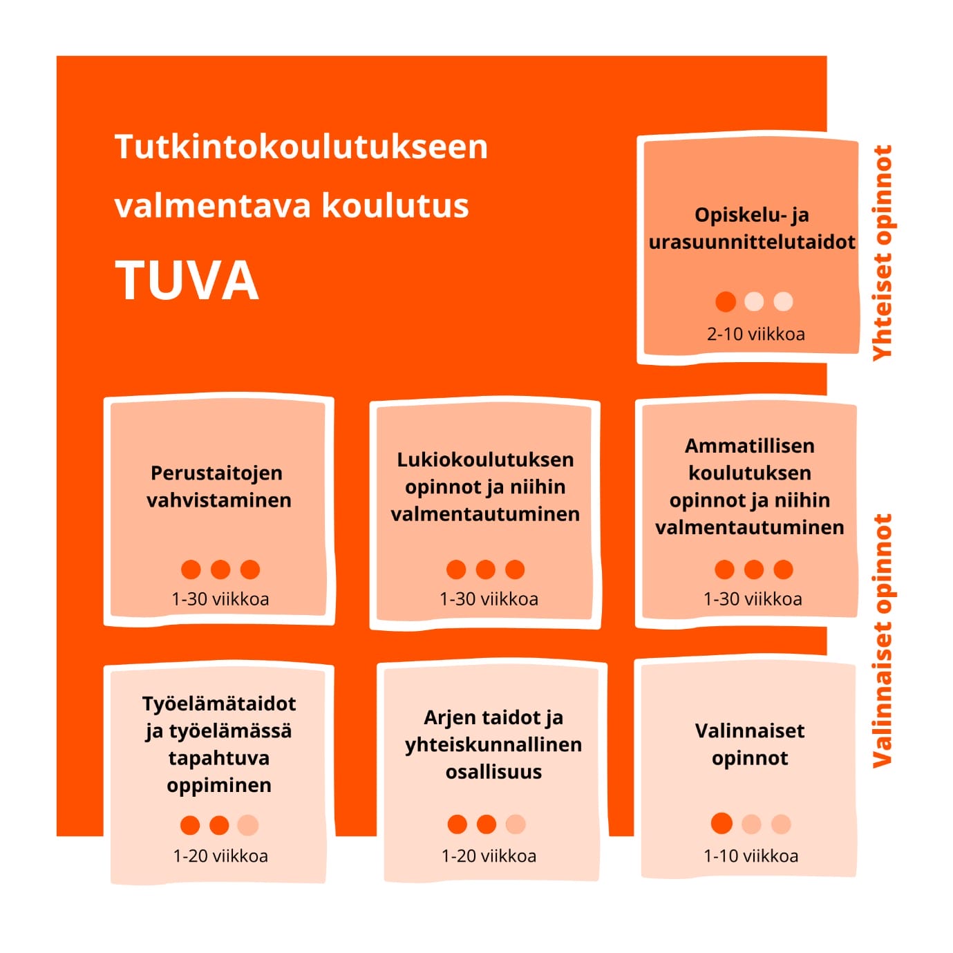 TUVA-koulutus - Koulutuskeskus Salpaus