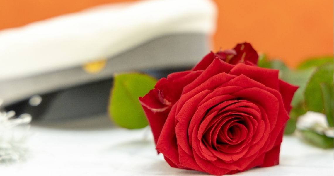 Etualalla punainen ruusu pöydällä ja taustalla näkyy vähän sumeana ammattilakki, jossa harmaa samettireunus.